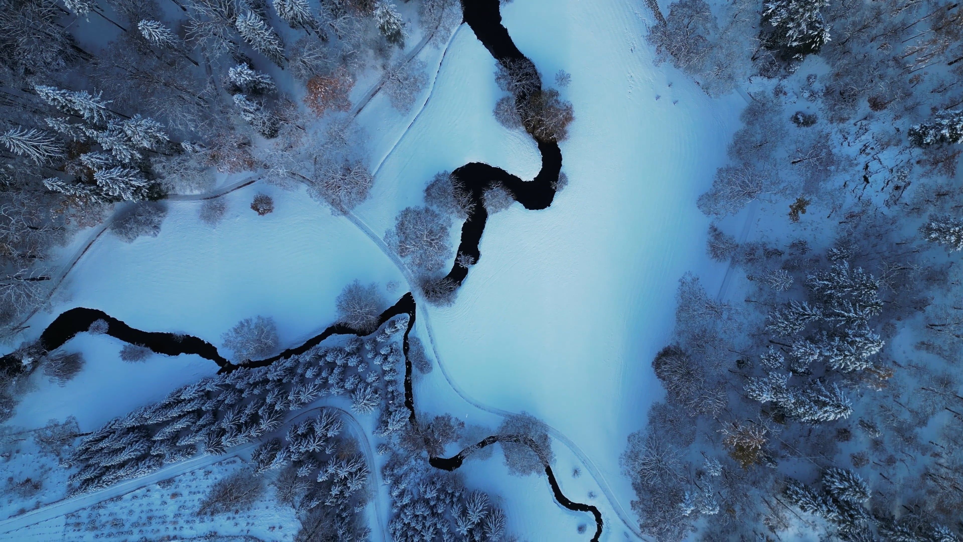 Aerial view of a snowy forest with a river Free Stock Video Footage ...