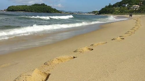 Big Waves Rushing To The Shore