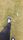 walking shoes