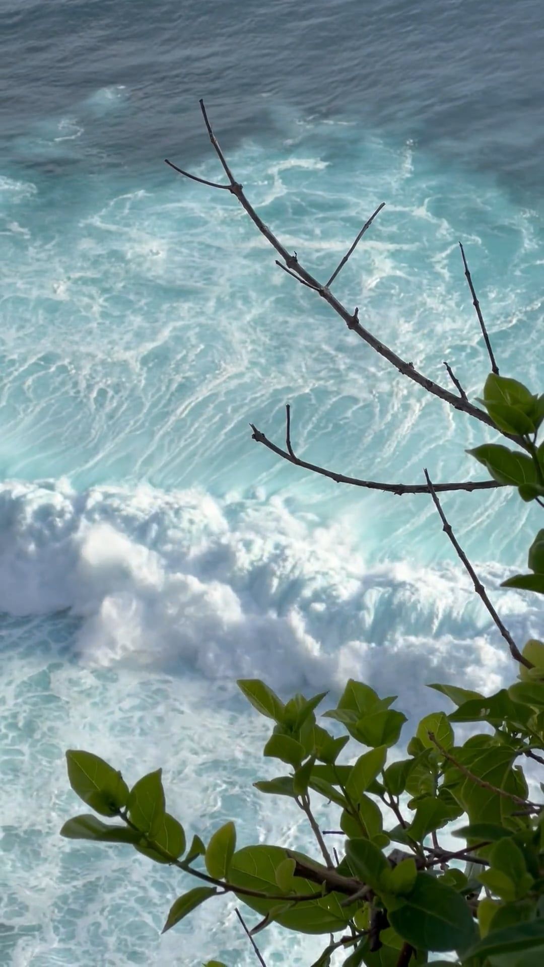 Video by Andrey Denin