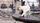 funny cats