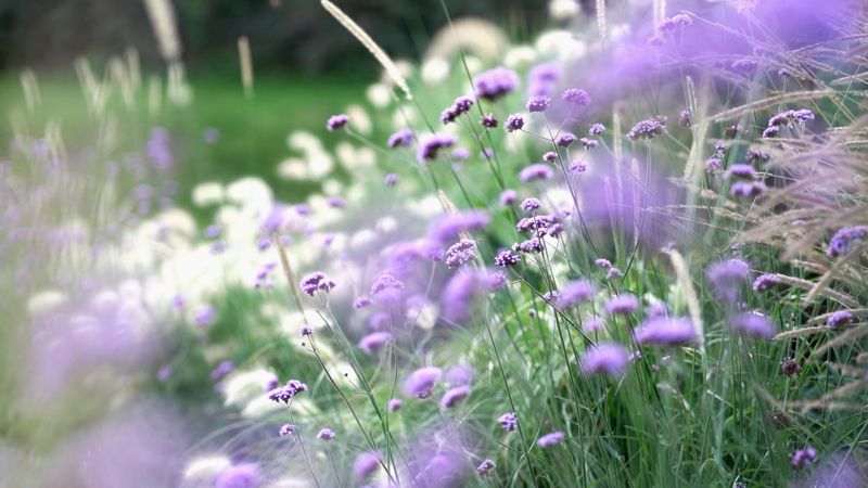 Oled Wallpaper Videos, Download The BEST Free 4k Stock Video Footage ...