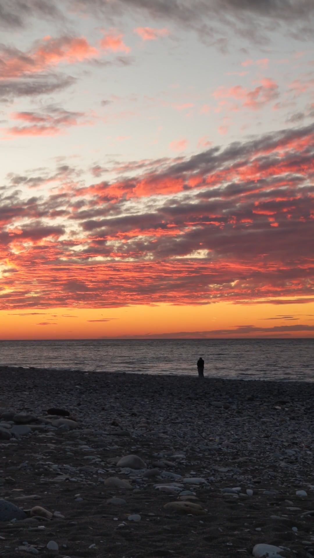 Solitary Contemplation at Sunset Beach Free Stock Video Footage ...