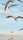 flying birds