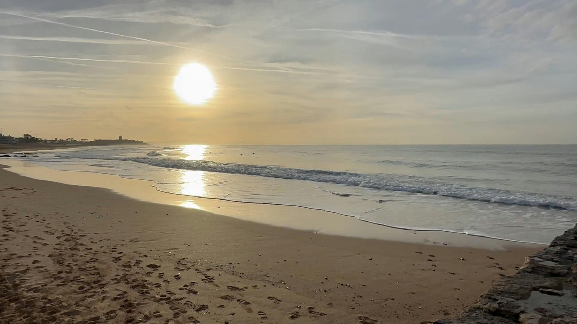 a beach at or near the apartment 19771183