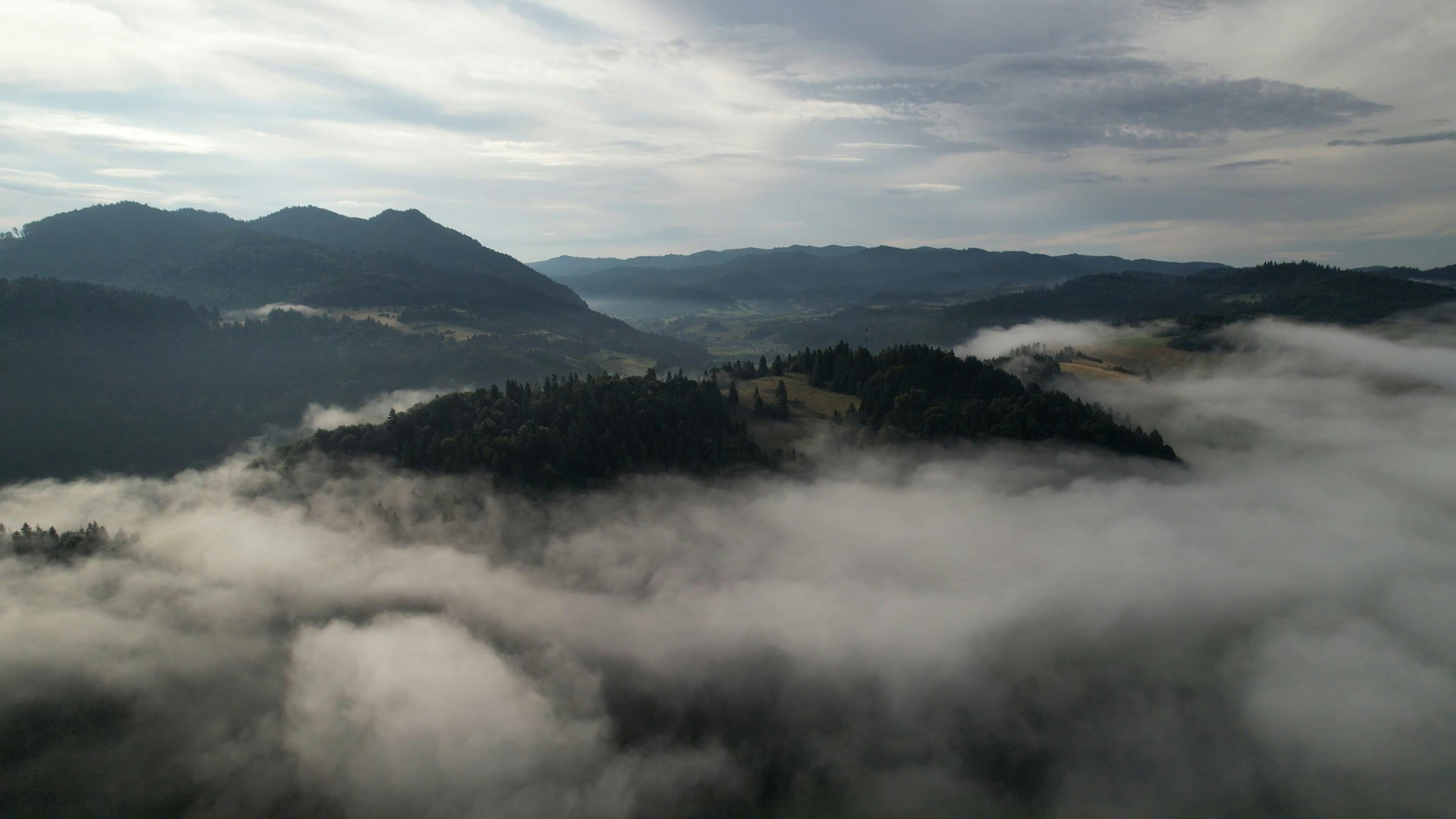 Video by Michał Świstak Operator