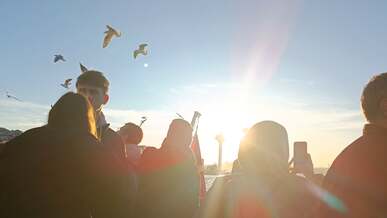 people watching the sunset on a pier