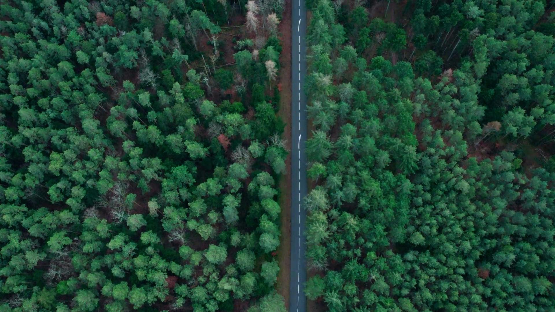 Khám Phá sirius 50 giá - Bước Tiến Đột Phá Trong Thế Giới Giải Trí Online