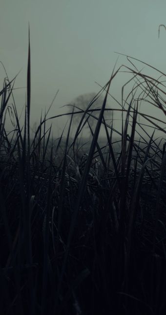 恐怖故事视频素材