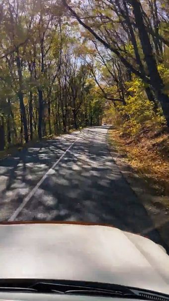 秋天旅游视频素材视频素材高清视频视频素材