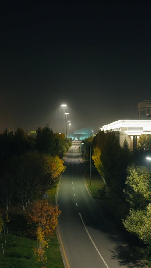 Night road in the park 