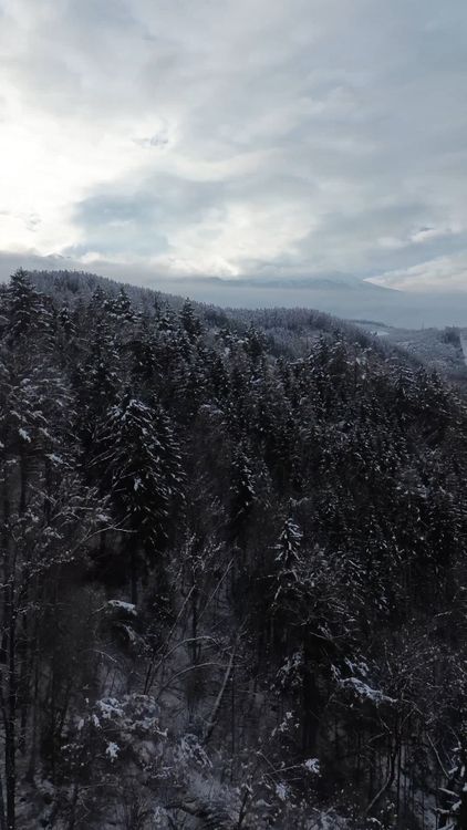 A view of a snowy mountain range with trees Free Stock Video Footage ...