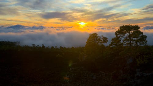 Above the Clouds 