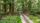 forest path