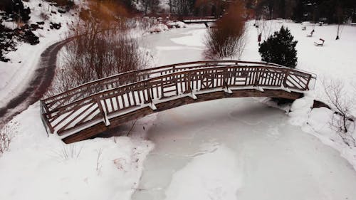 雪に覆われた公園