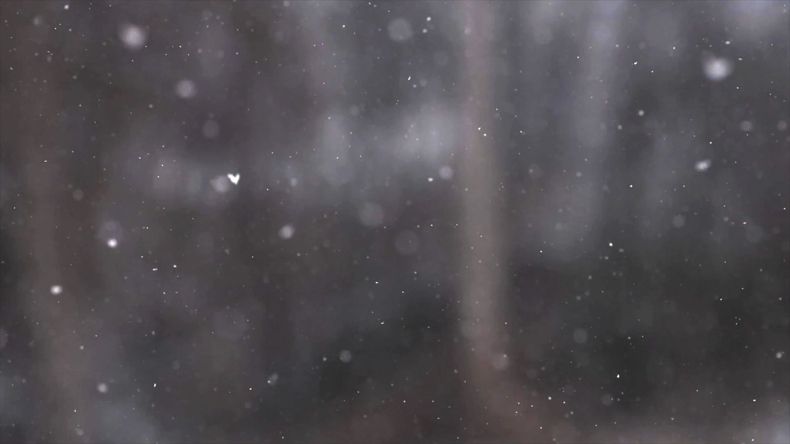 Snowfall Video Download Snow Falling Video Free Stock Video Footage, Royalty-Free 4K & HD Video ...