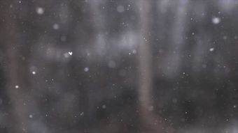 下雪高清视频视频素材