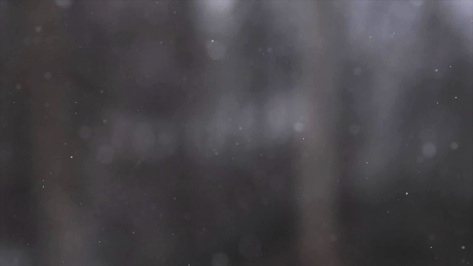 Snowfall Video Download Snow Falling Video Free Stock Video Footage, Royalty-Free 4K & HD Video ...