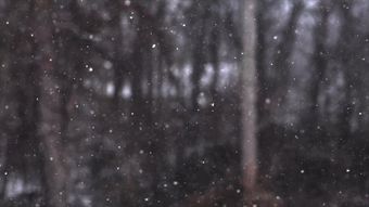 下雪免费下载视频素材