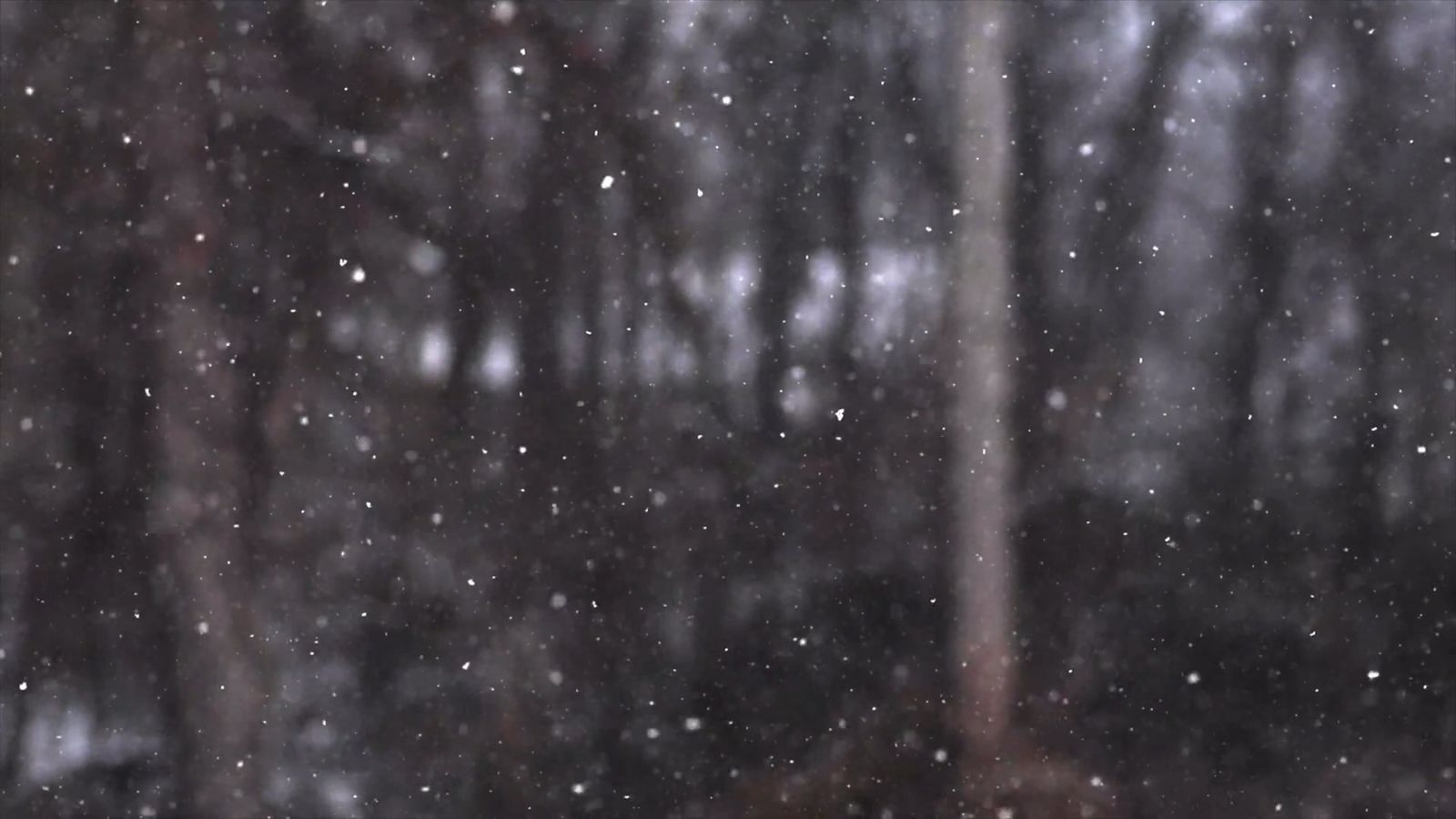 Snow Fall Clips Close Up Shot of Snow Falling Free Stock Video Footage, Royalty-Free 4K ...