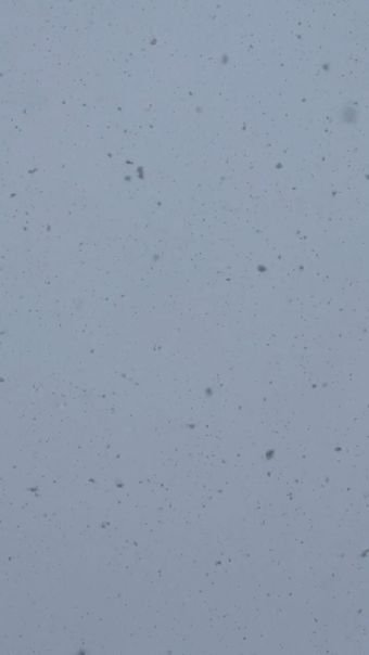 下雪高清视频视频素材视频素材