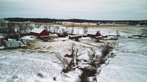 Amish farm scene