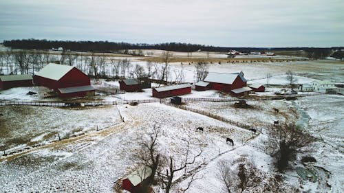 Amish farm scene