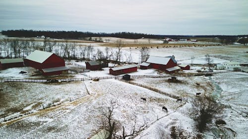 Amish farm scene