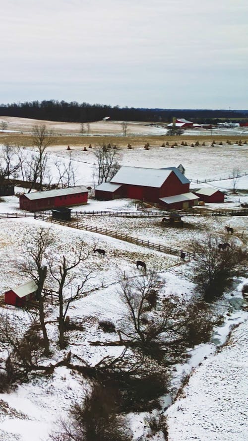 Amish Farm Scene Portrait