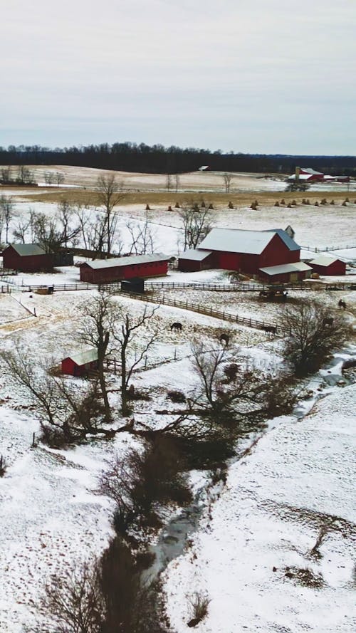 Amish Farm Scene Portrait