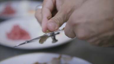 a person cutting up some eggs on a plate