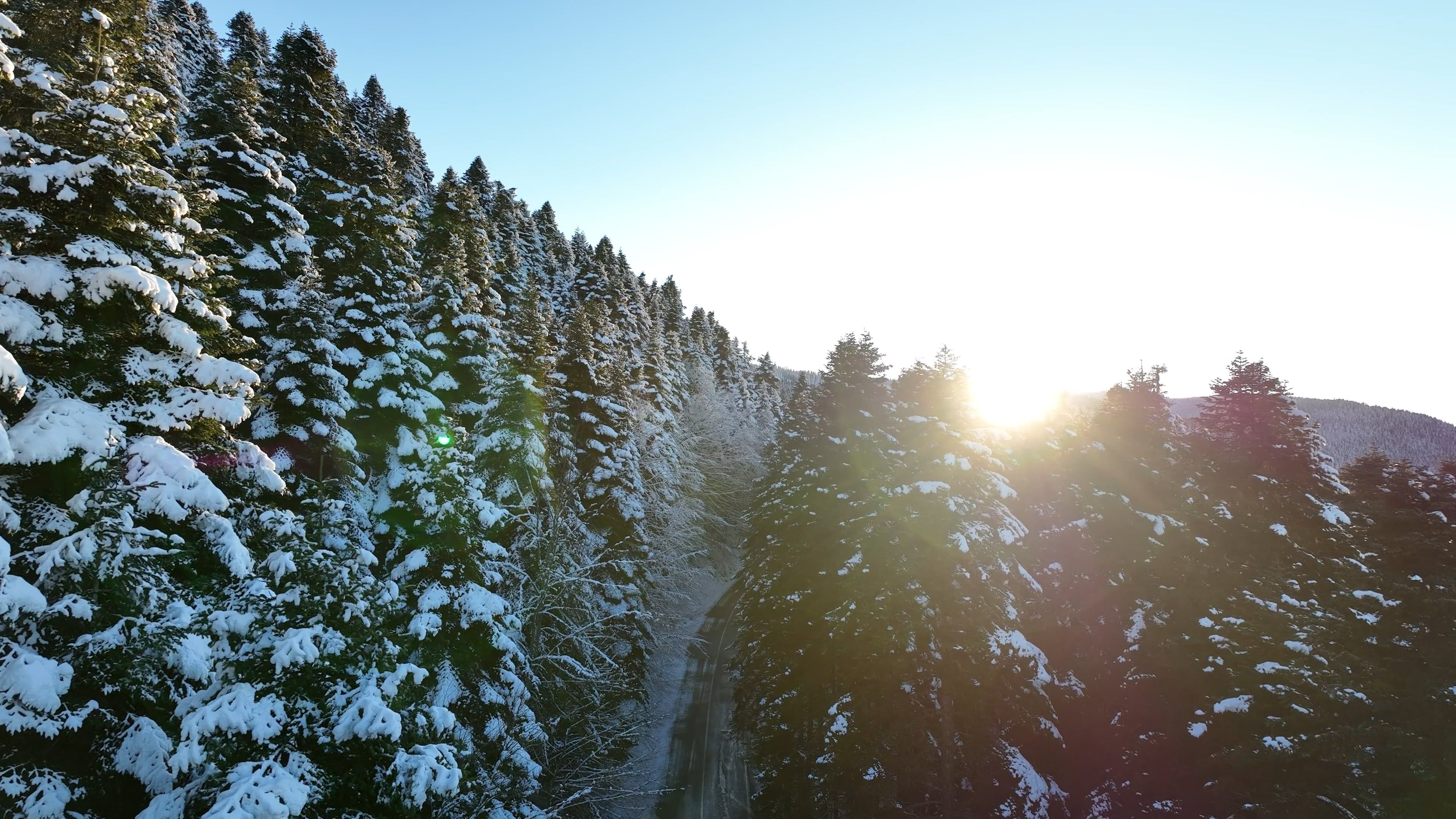 Aerial view of a forest covered in snow Free Stock Video Footage ...