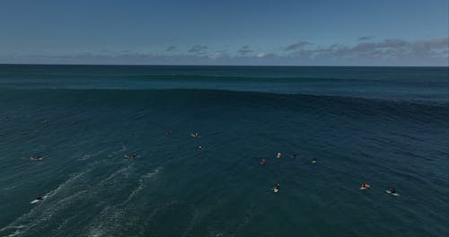 Big wave surfing at Waimea