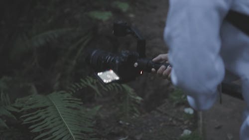 植物のビデオを撮る男