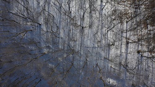 Snowy Tennessee Hills