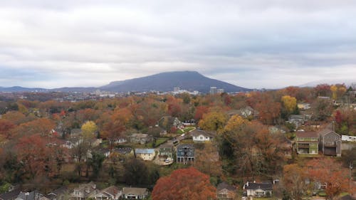 Fall Foliage in Chattanooga with Lookout Mountain Backdrop