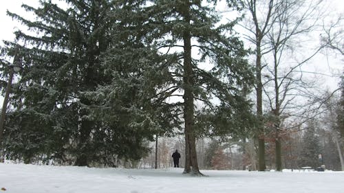 "Exploring a Snowy Richmond Hill Lake | Winter Wonderland Vlog"  