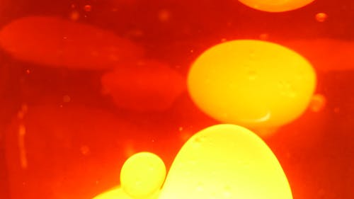 Psychedelic Videos, Download The BEST Free 4k Stock Video Footage & Psychedelic HD Video Clips Psychedelic Videos, Download The BEST Free 4k Stock Video Footage & Psychedelic HD Video Clips