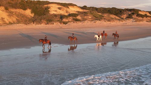 Horses riding on the beach at sunset 