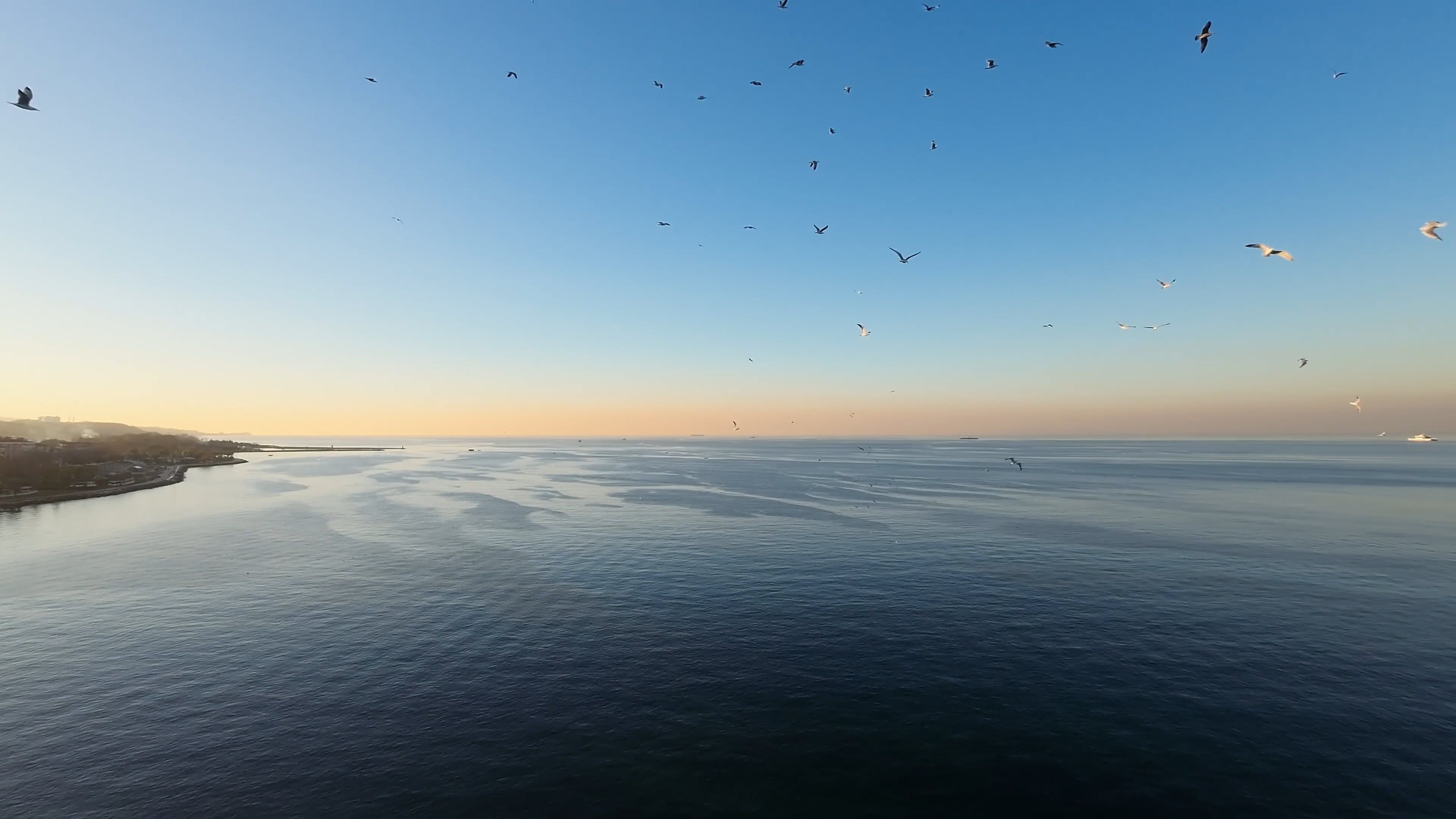 A large body of water with birds flying over it Free Stock Video ...