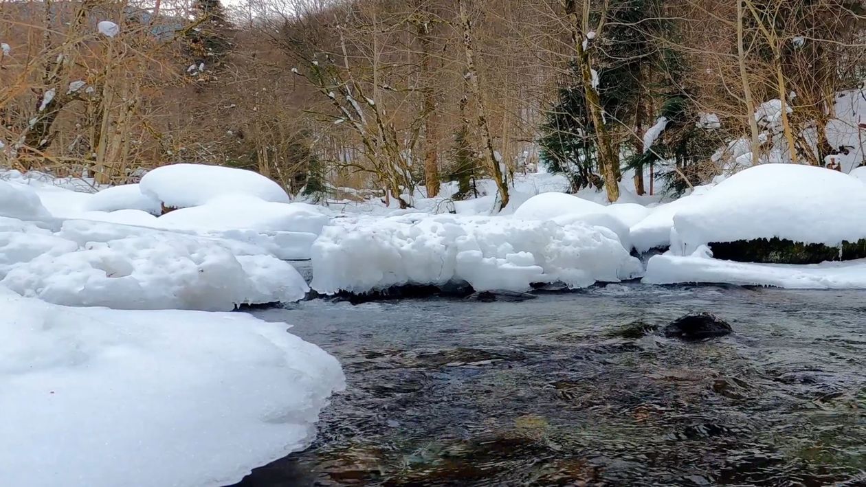 A river with snow covered rocks and trees Free Stock Video Footage ...