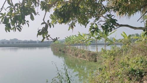 Bangladesh lake view 4k | Bangladeshi Video 