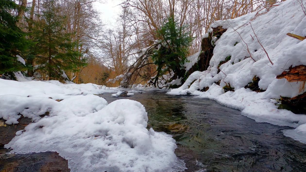 A stream in the woods covered in snow Free Stock Video Footage, Royalty ...