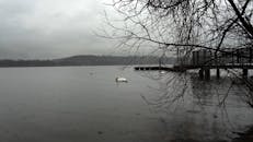 Winter landscape with swans on Lake Varese