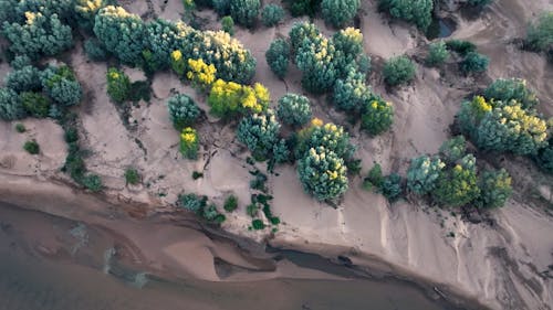 Fitzroy river from above