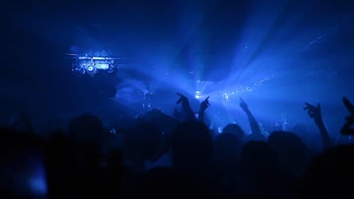 People Having Fun At A Concert