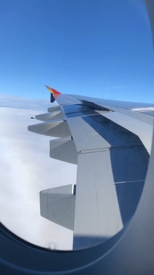 View Of An Airplane's Wing From Window