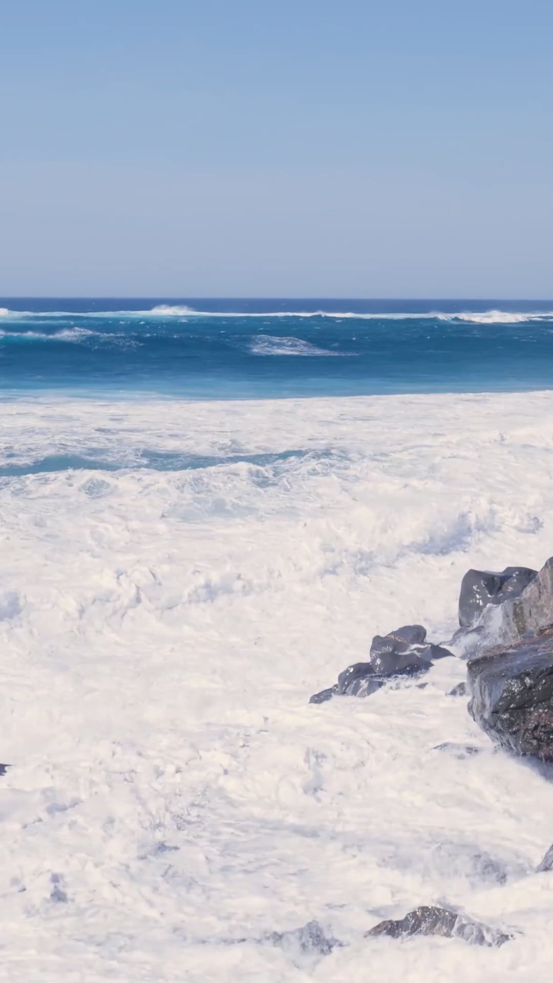 Video by Matthias Groeneveld