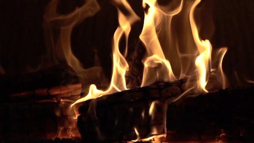 A Burning Firewood