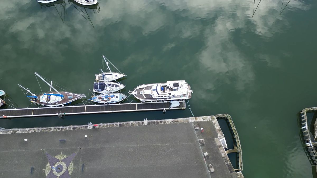 Aerial View of Busy Marina with Docked Boats Free Stock Video Footage ...